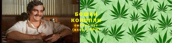 тгк Краснослободск