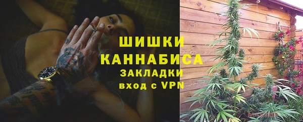 тгк Краснослободск