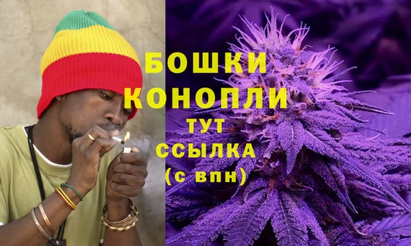 тгк Краснослободск